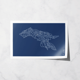 big sky southern exposure basic print