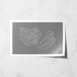 brighton basic print