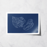 brighton basic print