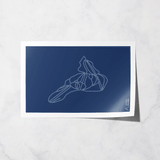 corralco basic print