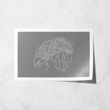 northstar basic print