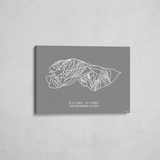 silver star wrapped canvas