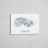 silver star wrapped canvas