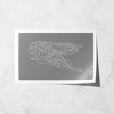 steamboat springs basic print