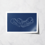 stevens pass basic print