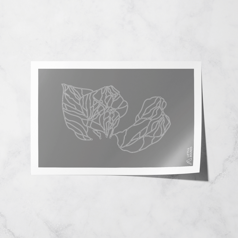 brighton basic print