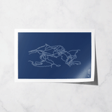 laax basic print